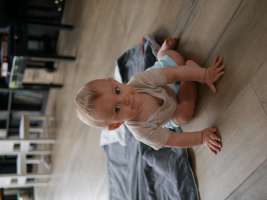 louis